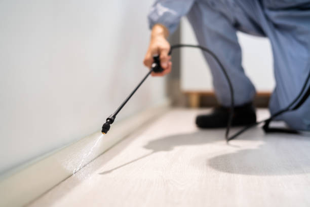 Licensed Pest Control service in Bevil Oaks, TX - Show Me Pest Control